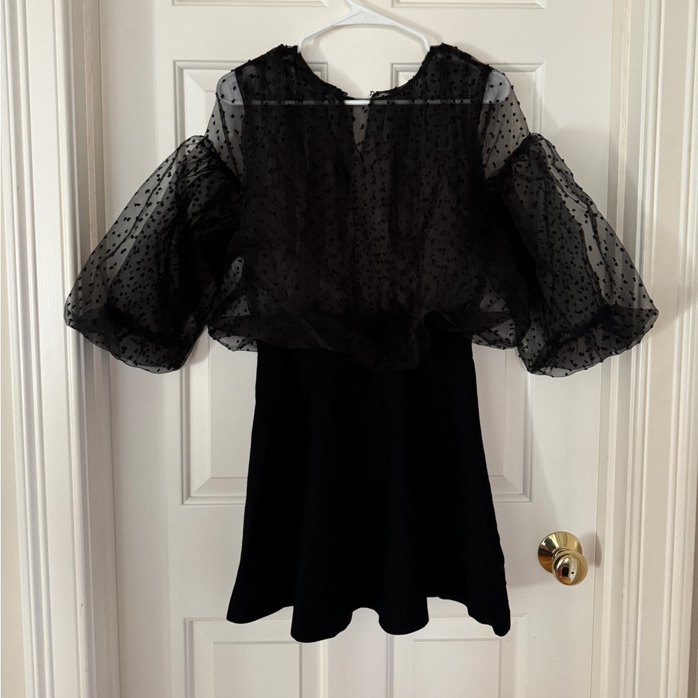 Zara Black Mesh Combination Mini Dress